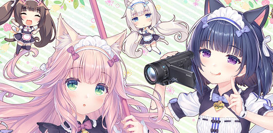 猫娘乐园 After:真实的家庭 官方中文版 ADV游戏+全CG存档 4.6G-游佬部落
